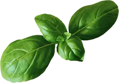 Nia’s Soul and Seafood