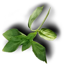 Nia’s Soul and Seafood